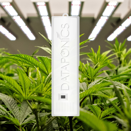 DP Enviro™ Sensor